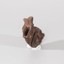 Load image into Gallery viewer, Netsuke – Dried Salmon Head