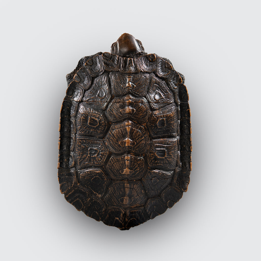 Inro – Turtle
