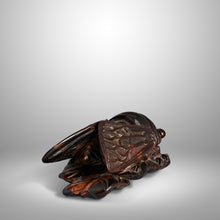 Load image into Gallery viewer, Netsuke – Cicada on a Pile of Leaves