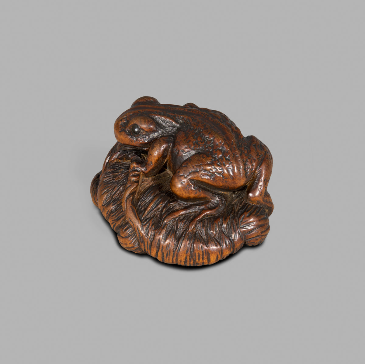 Netsuke - Toad on a Sandal – Willford Japanese Art